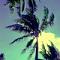 Andels